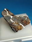 5 15g Sericho Pallasite Iron Meteorite From Kenya