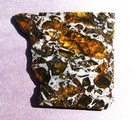 28 92 Gram - Admire Pallasite Meteorite - From Kansas  Usa - Translucent Slice 