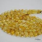 Insect Baltic Amber Rosary