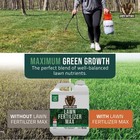 Petramax Liquid Lawn Fertilizer For Lawns Concentrate - Liquid Fertilizer For La