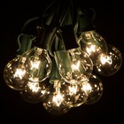 G40 Clear Globe Outside Backyard String Lights With Green Wire - 25     50     100   