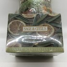 Yankee Candle 12 Tea Light Sage   Citrus Candles Gift Set W fall Candle Holder