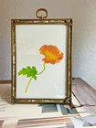 Vintage Victorian Golden Metal Picture Frame 7   x 5   
