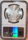   1885 P   Ngc Ms64 Bright Blast White Stunning Pq Morgan Silver Dollar 