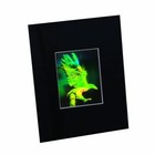 3d Eagle Matted Hologram Picture  Collectible  Embossed Type Film