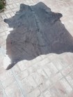 Brazilian Dominant  Black  Cowhide Fur Rug Hair-on Hide Western Decor 6    X 6   