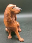 Vintage Coalport Springer Spaniel Figurine 15cm Tall