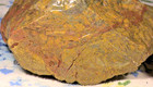 Mixed Yellow Jasper Agate Lot  Rough Natural Lapidary Rocks  5 Lbs  6 Oz   291
