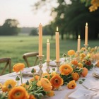 8 Pack 10 Inch Light-orange Smooth Taper Candle Set  7 8 Inch Unscented Dripl   