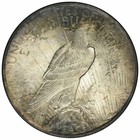 1924 Peace Dollar - Unc - End Of Roll Toned Blue And Gold Toning   inv 111 