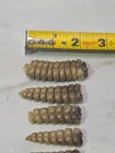 2 Rattlesnake Rattles   068    Taxidermy Diamondback Sidewinder Large To Small