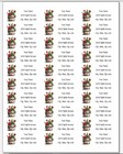 150 Cactus Rock Garden Planter Flower Mailing Return Address Labels Personalized