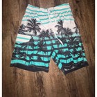 Mens Tropical Palm Tree Swim Trunks Teal White Striped Board Shorts Cargo Pocket