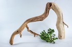 Manzanita Aquarium Driftwood Branch Aquascape  Reptiles  Home D  cor 21 