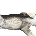 Schleich Husky Male Dog Figurine Retired Collectible 2007 Rare