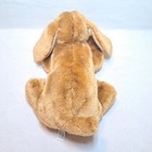 Animal Alley Darby Dog 2000 Vintage Hound Tan Puppy Toys R Us Plush Animal 13 