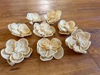 Set Of 8 Beige Floral Decorative Napkin Rings