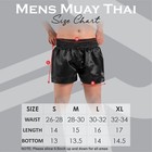 Roar Sports Mma Muay Thai Shorts Fight Martial Arts Gym Boxing Trunks Fighting