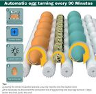 Incubators For Hatching Eggs With Automatic Egg Turning And Humidity Monitoring