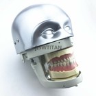 Dental Simulator Manikin Phantom Head Practical Exercises Teaching Head Model