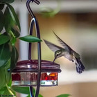 Circular Hanging Hummingbird Feeder Water Feeders For Bird Courtyard Gardens Bir