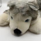 A a Husky Wolf Dog Plush  13 Inch Blue Eyes Stuffed Animal Toy