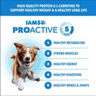 Iams Proactive Health Healthy Weight Adult Dry Dog Food 5 Pound  pack Of 1  