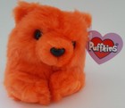 Puffkins Mango Orange Bear Beanie Plush Stuffed Animal By Swibco