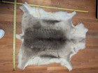 Genuine Reindeer Hide Rug Natural Gray Cream Scandinavian Nordic Fur Pelt Large