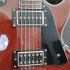 Epiphone Les Paul Custom Lee Malia Sig  Electric Guitar Gibson Usa Pickups  Read
