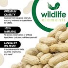 Wildlife Elements In-shell Peanuts For Birds  Squirrels  Wild Animal Food  25 Lb