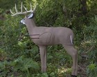 3d Buck Deer Archery Target 48  Life Like For Broadhead   Field Tip Arrows