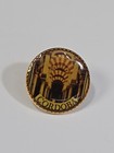 Cordoba Travel Souvenir Lapel Pin Spain