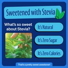 Zero Calorie Cola Soda 12oz Cans 24pk Naturally Sweetened Sugar Free Vegan Drink