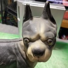 Vintage - Boston Terrier Black And Tan - Doorstop - Cast Iron - 5bs 11oz - 10in