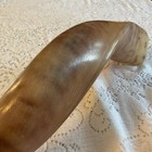 Shofar Yemenite Kudu Horn 27-31   70-80cm  Polished