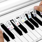 88 Key Piano Keyboard Note Labels Reusable Silicone Stickers For Piano Keys 