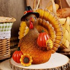  Thanksgiving Turkey Tabletop Centerpiece Decor  Resin Turkey Decoration For 