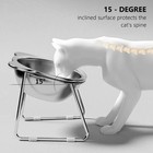 Raised Cat Bowl Tilted 15   Stainless Steel Elevated Pet Food Dish