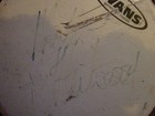 Fleetwood Mac Mick Fleetwood Signed   Autographed 8  Evans Drumhead With Jsa Coa