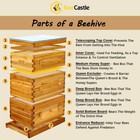 Beecastle 10-frame Langstroth Beeswax Coated Beehive With Plexiglass Windows