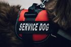 Adjustable Service Dog Harness Vest Patches Reflective Small Large S-m-l-xl 