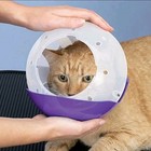 Dog   Cat Air Muzzle Ii Eliminate Potential Bites From Cats   Small Dogs Safe