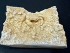 Large Stunning Mineralized Potamon Crab Fossil In Travertine