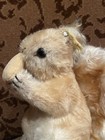 5    Steiff Squirrel With Nut Stuffed Animal Doll Vintage Antique Older Germany 