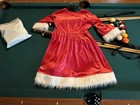 Grinch Christmas Red Padded Dress With White Fur Trim   Merry Mas Themed Bag