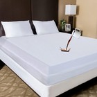 Zippered Mattress Encasement Waterproof Protector Hypoallergenic Mattress Cover