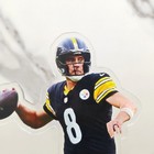 Aaron Rodgers Standee - Steelers Man Cave Display Fans Memorabilia   Collectible