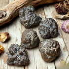 3 Pcs Natural Prophecy Stones Energy Crystal Healing Reiki Mineral Specimen Gift