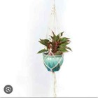 Nwt Primitive Planters Woven Rope Hanging Plant Basket Holder 41in